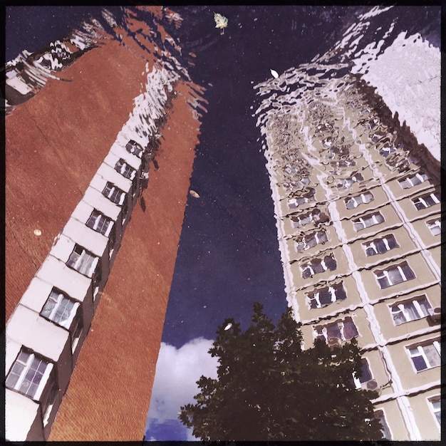 A split image showcasing, on one side, a vintage photograph of a bustling historical city, and on the other, the cover of a book that heavily influenced Author Name's novel, visually connecting the inspiration to the final work.