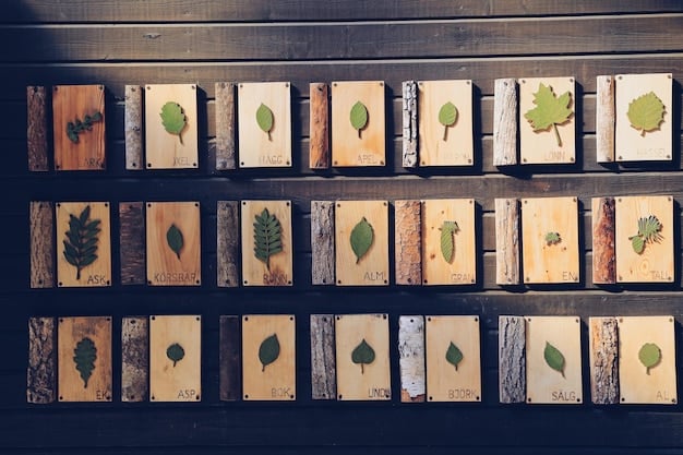 A set of various author event signs made from different materials such as wood, vinyl, and foam board, each showcasing unique designs and typography. The signs are arranged on a table, highlighting the range of options available for event signage.