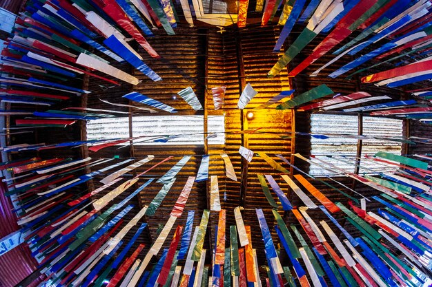 A bookshelf filled with diverse contemporary YA novels, their spines displaying various titles that hint at themes of identity and social justice, with a spotlight illuminating a specific section.