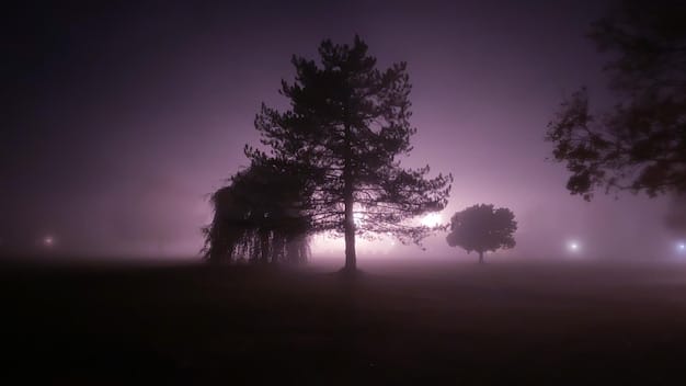 A mystical forest at dusk, with ancient, glowing trees and ethereal mist, suggesting a blend of fantasy and perhaps a touch of eerie horror.