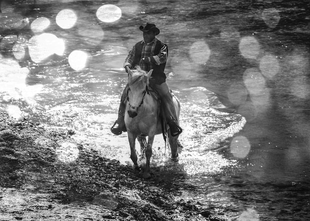A split image. On one side, a historical photo of cowboys on horseback, dusty and weathered, embodying the classic Western. On the other, a still from a modern Western film, with a diverse cast and contemporary cinematography, representing the Western Reimagined. This visual juxtaposition highlights the transformation of the genre. This represents 