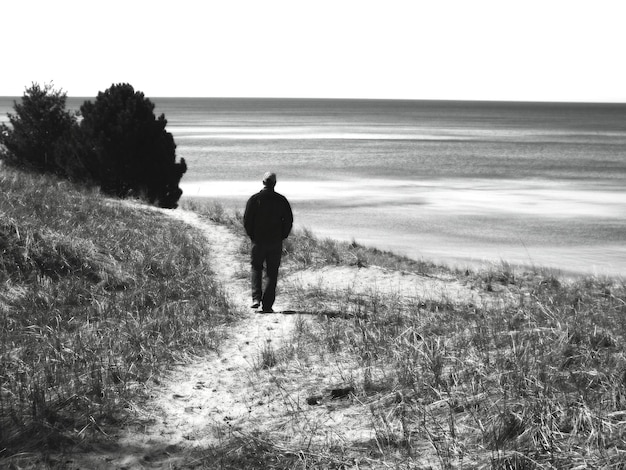 A black and white image of a desolate, windswept moorland. A lone, silhouetted figure walks towards a remote, imposing manor house in the distance. The sky is filled with dark, swirling clouds, emphasizing feelings of isolation and dread related to Gothic Horror's Resurgence: Analyzing the Return of Atmospheric Dread and Psychological Torment.